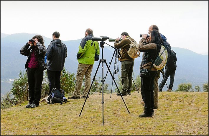 Actividades de fotografía